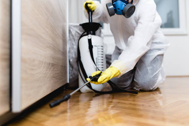 Best Termite Control Services  in Daniel, UT