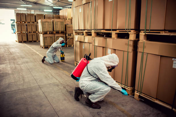 Trusted Daniel, UT Pest Control Experts