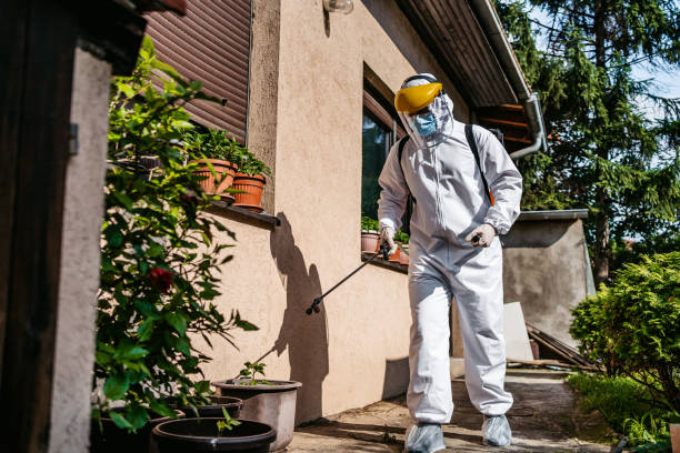 Best Best Pest Control Companies  in Daniel, UT
