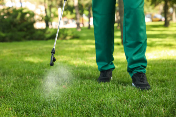Best Local Pest Control Services  in Daniel, UT