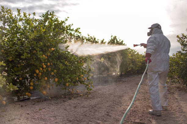 Wasp Removal Services in Daniel, UT