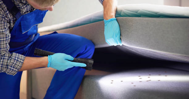 Best Bed Bug Extermination  in Daniel, UT