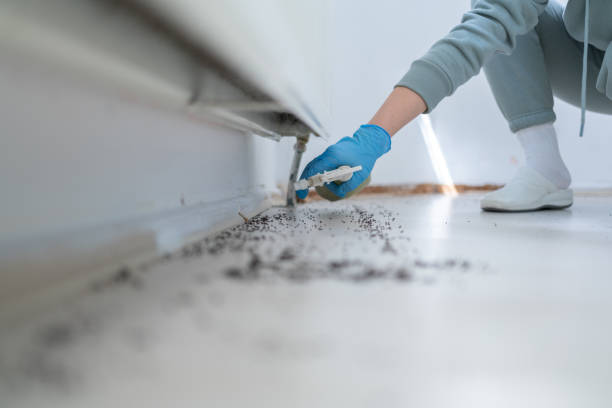 Best Exterminator Services  in Daniel, UT